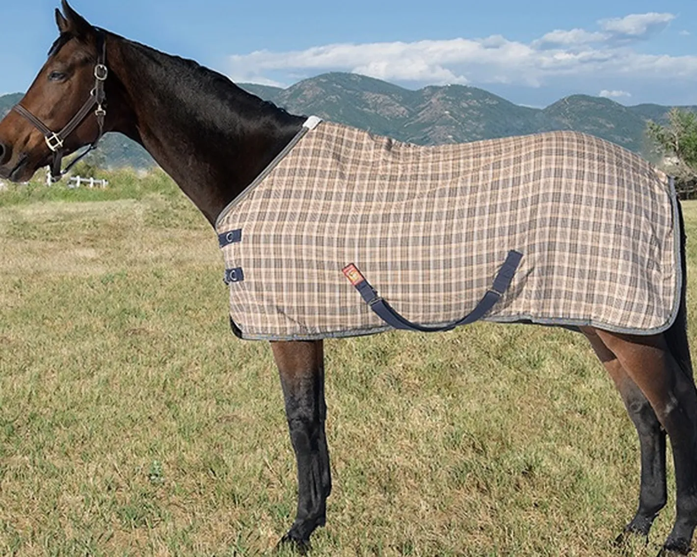 JACKS MFG 5/A Baker® Deluxe Stable Sheet