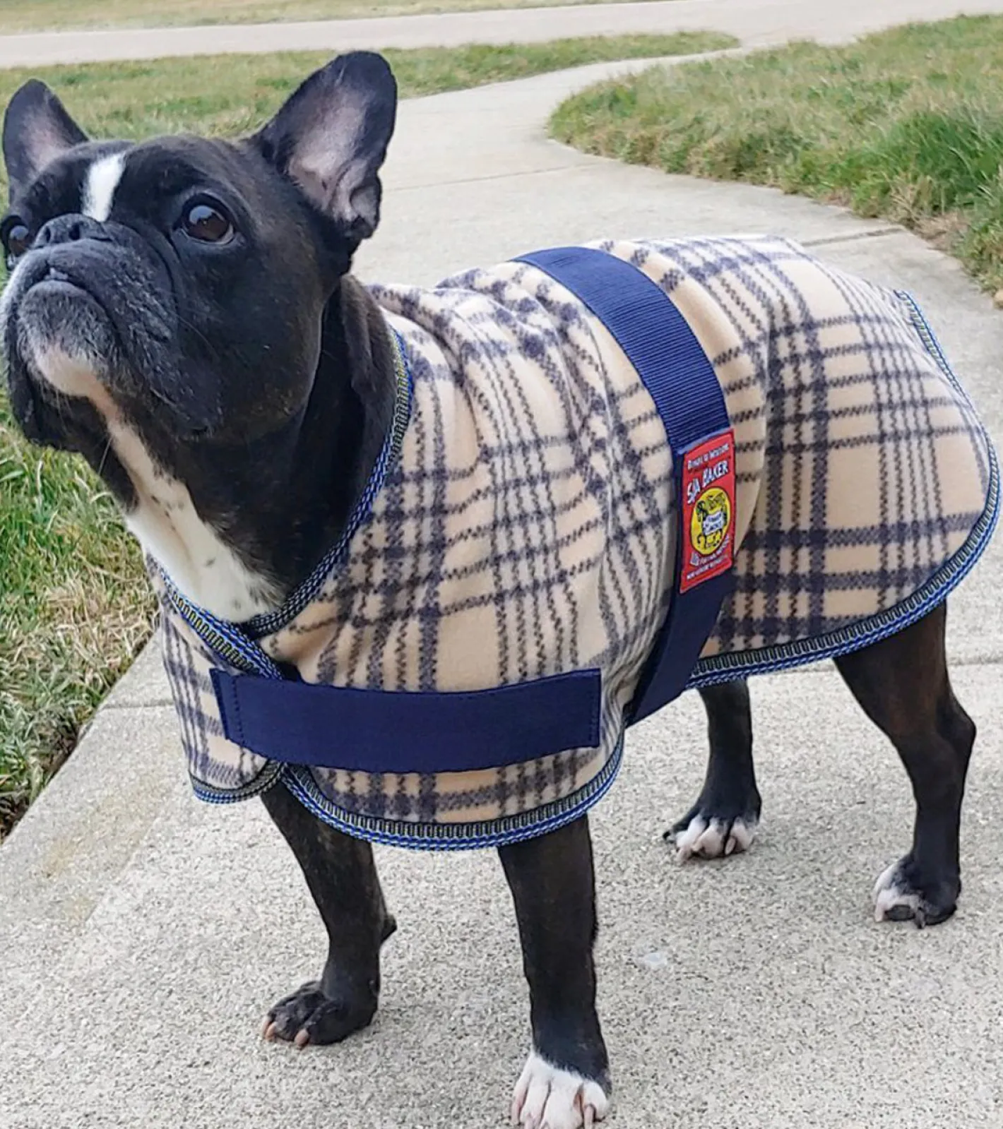 JACKS MFG 5/A Baker® Fleece Dog Blanket