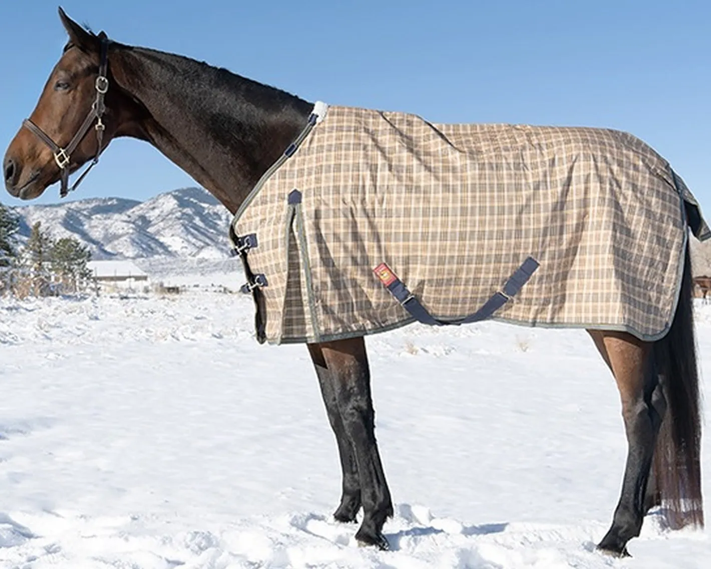 JACKS MFG 5/A Baker® Heavyweight Turnout Blanket