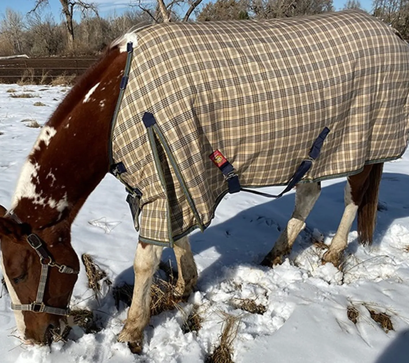 JACKS MFG 5/A Baker® Heavyweight Turnout Blanket