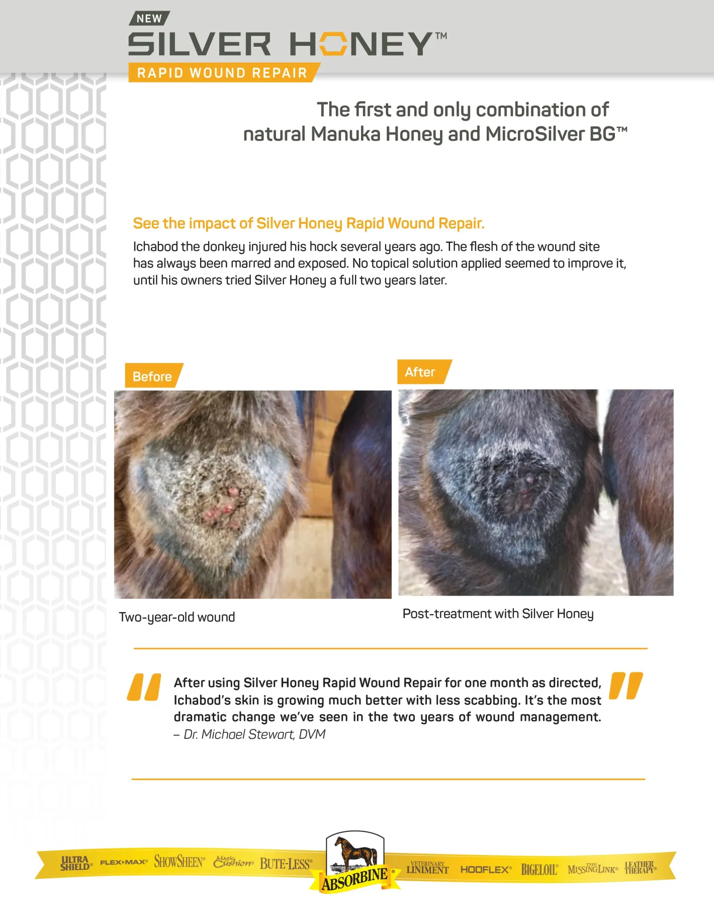 ANIMAL HEALTH INT Absorbine® Silver Honey® Rapid Skin Relief Medicated Shampoo