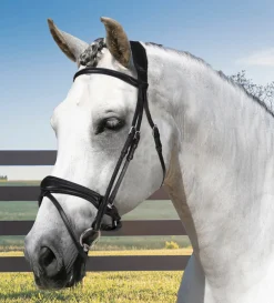 FRANTISI Acavallo® Maesta Bridle