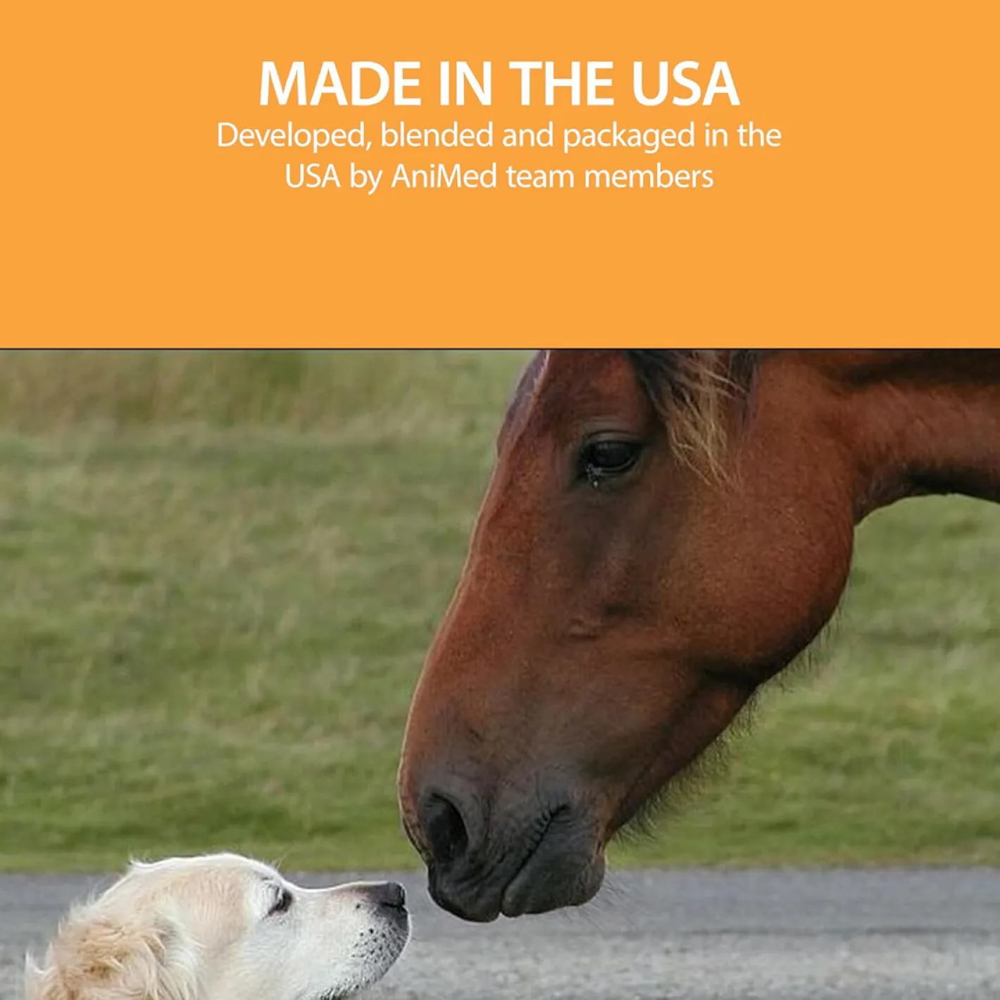 ANIMAL HEALTH INT AniMed™ Remission - 4 lb