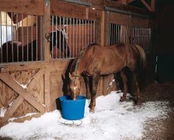 ANIMAL HEALTH INT API® 20-Quart Heated Flatback Bucket