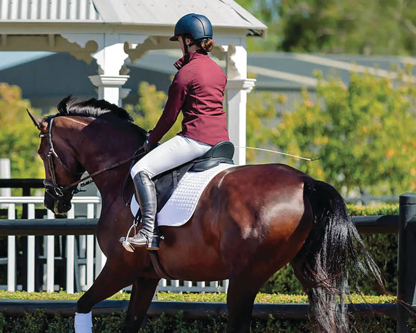 SADDLERY BRANDS INTL Arena Dressage Saddle