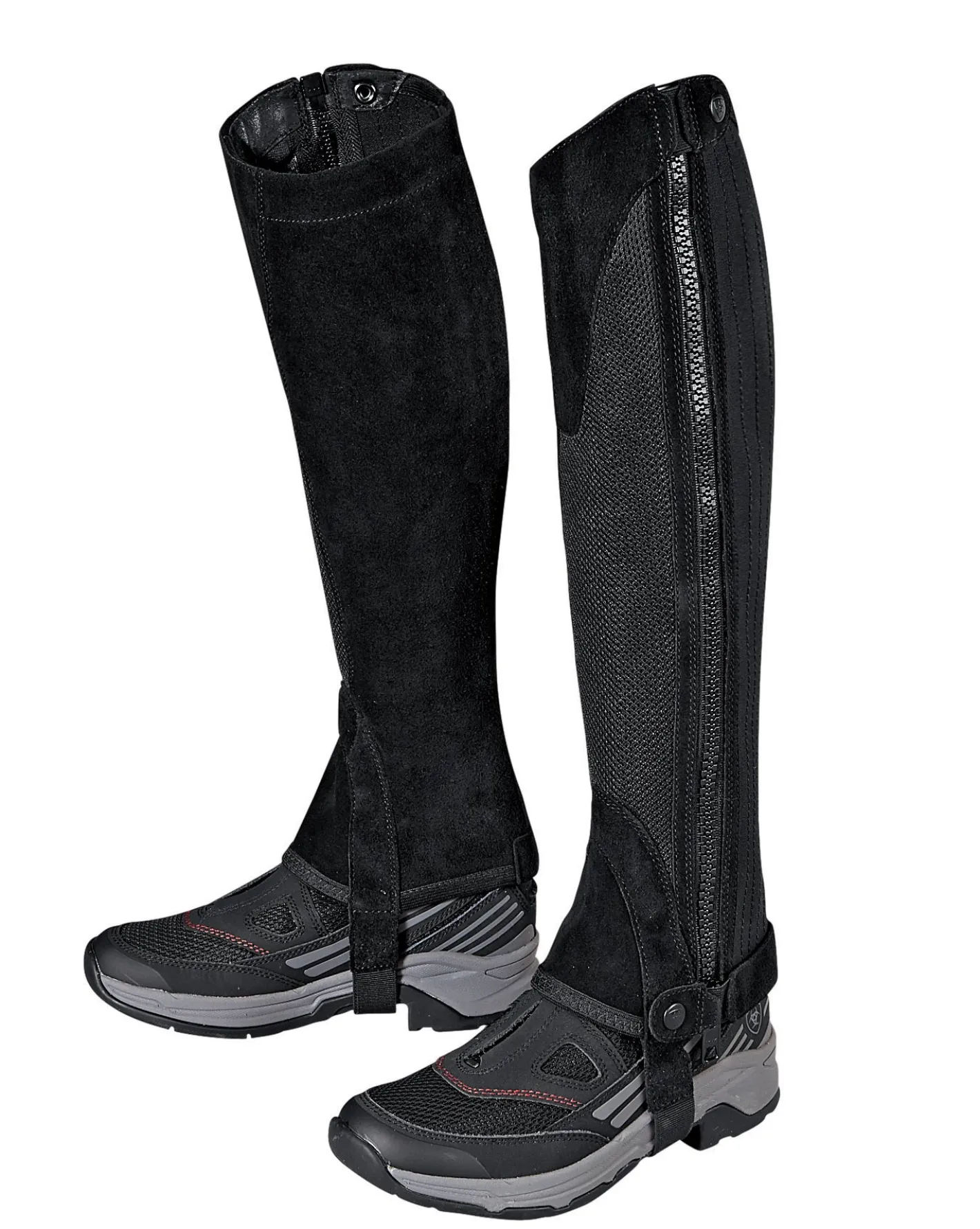ARIAT ® Terrain II Half Chap