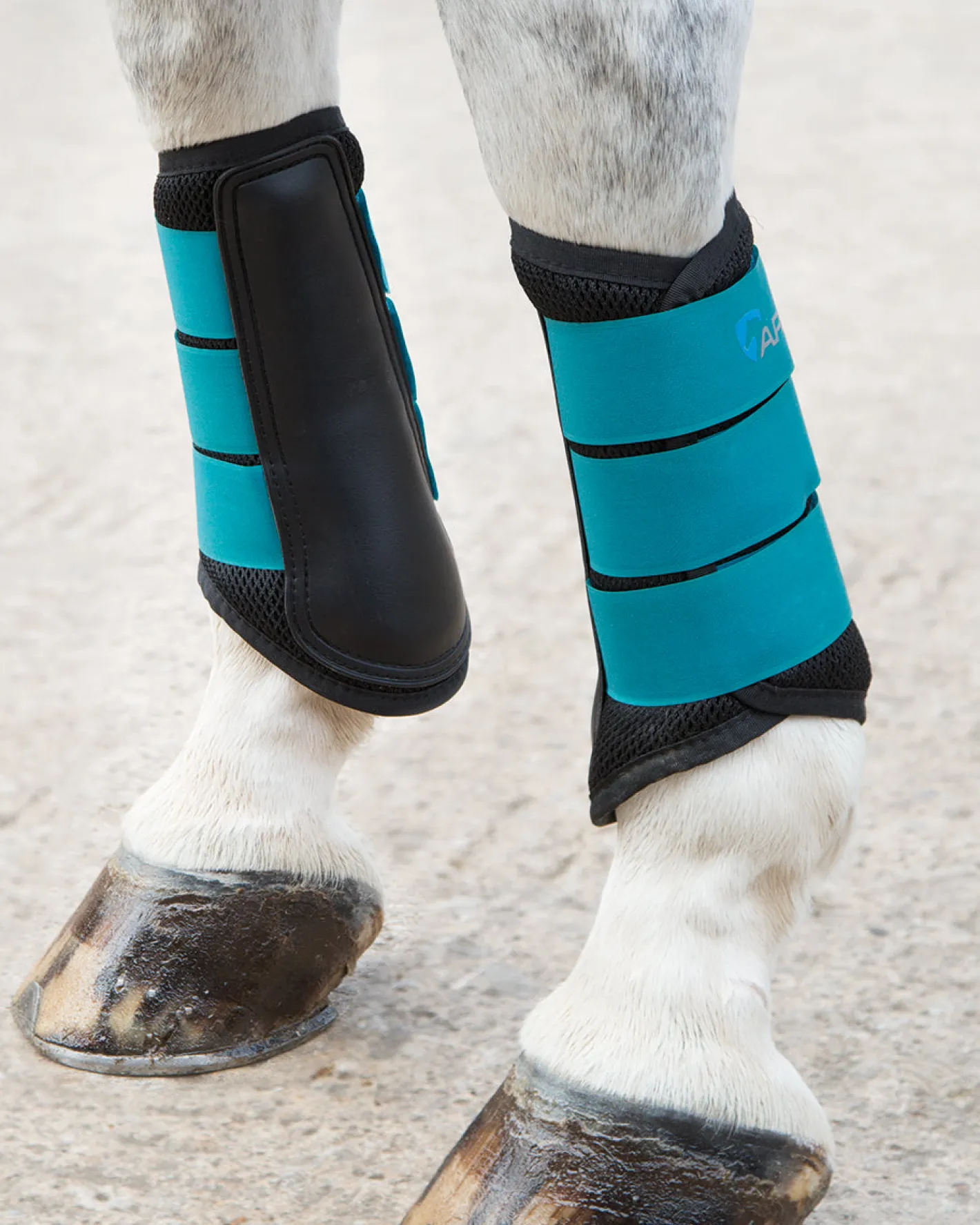 SHIRES EQUESTRIAN ARMA Air Motion Brushing Boots