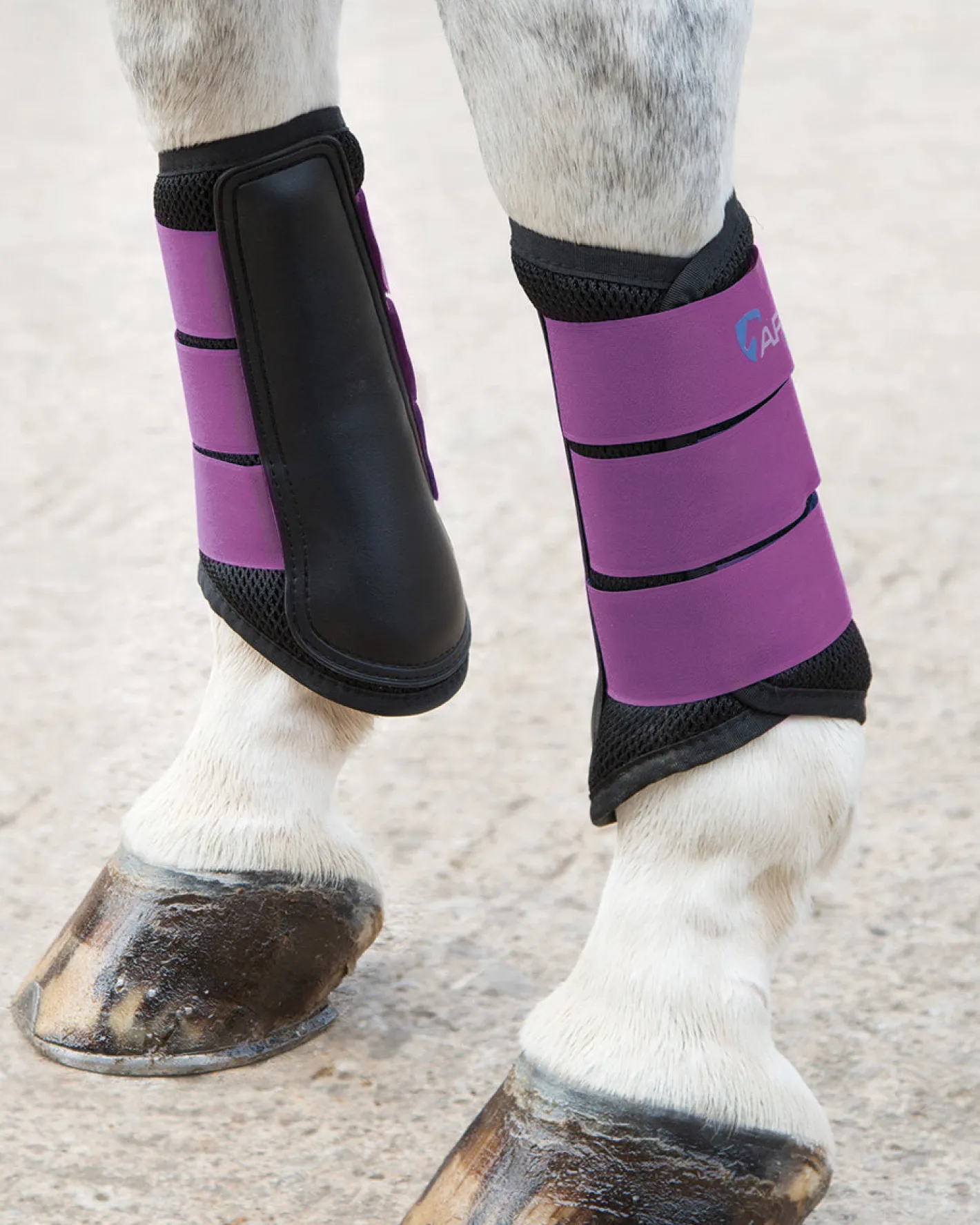 SHIRES EQUESTRIAN ARMA Air Motion Brushing Boots