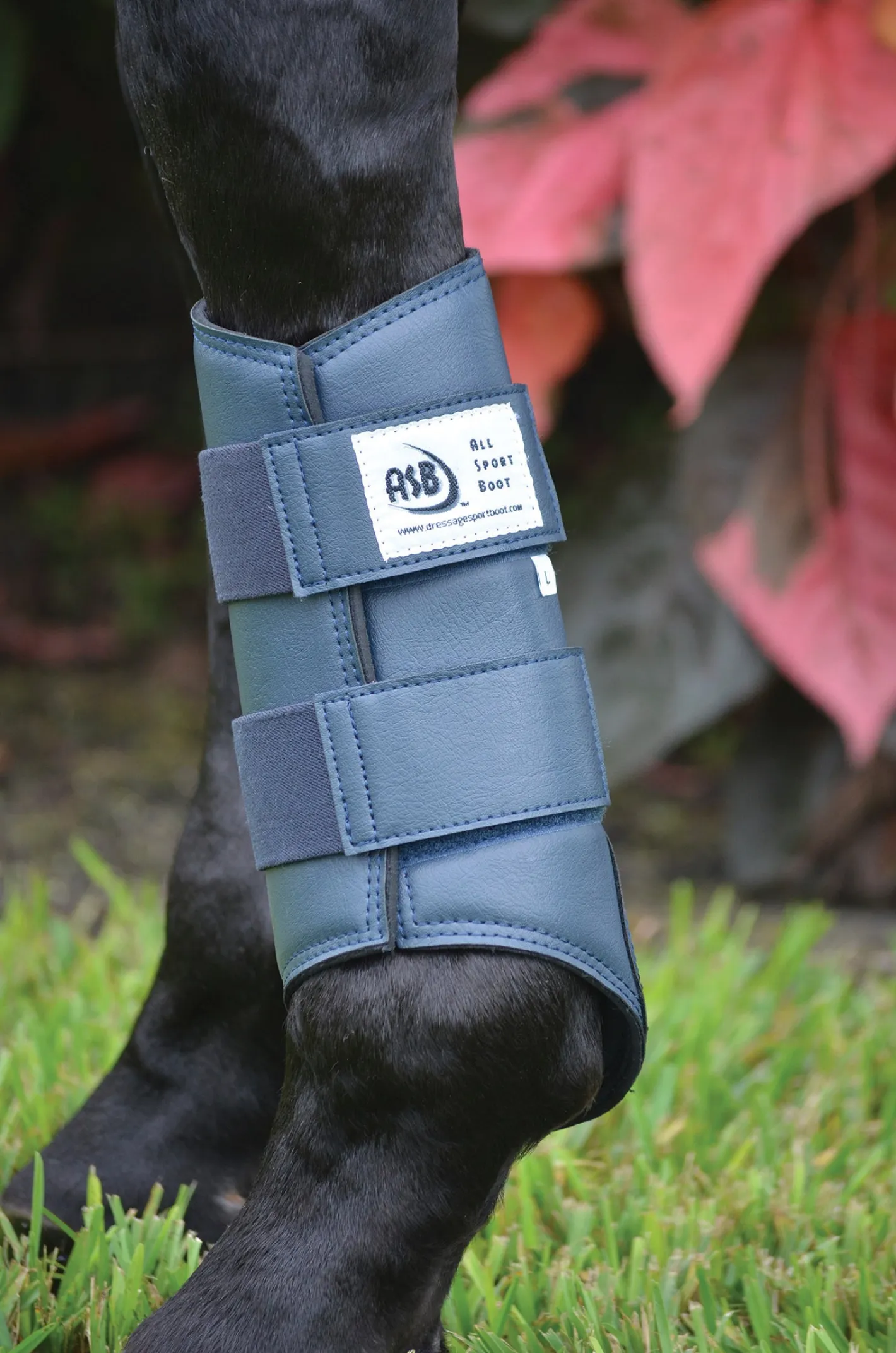 DRESSAGE SPORT BOOTS ASB® All Sport Horse Boots