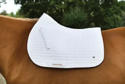 BACK ON TRACK BOT LL Back on Track® All-Purpose Saddle Pad