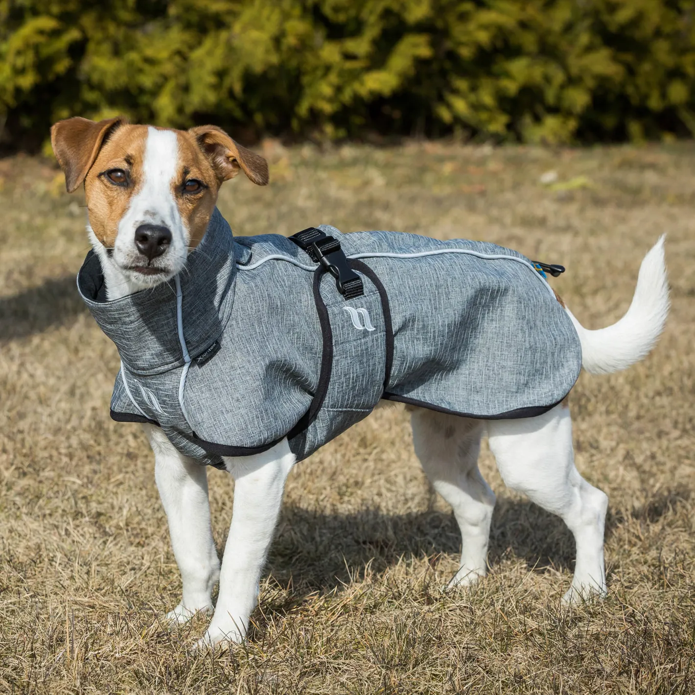 BACK ON TRACK BOT LL Back on Track® Bark Small Dog Coat