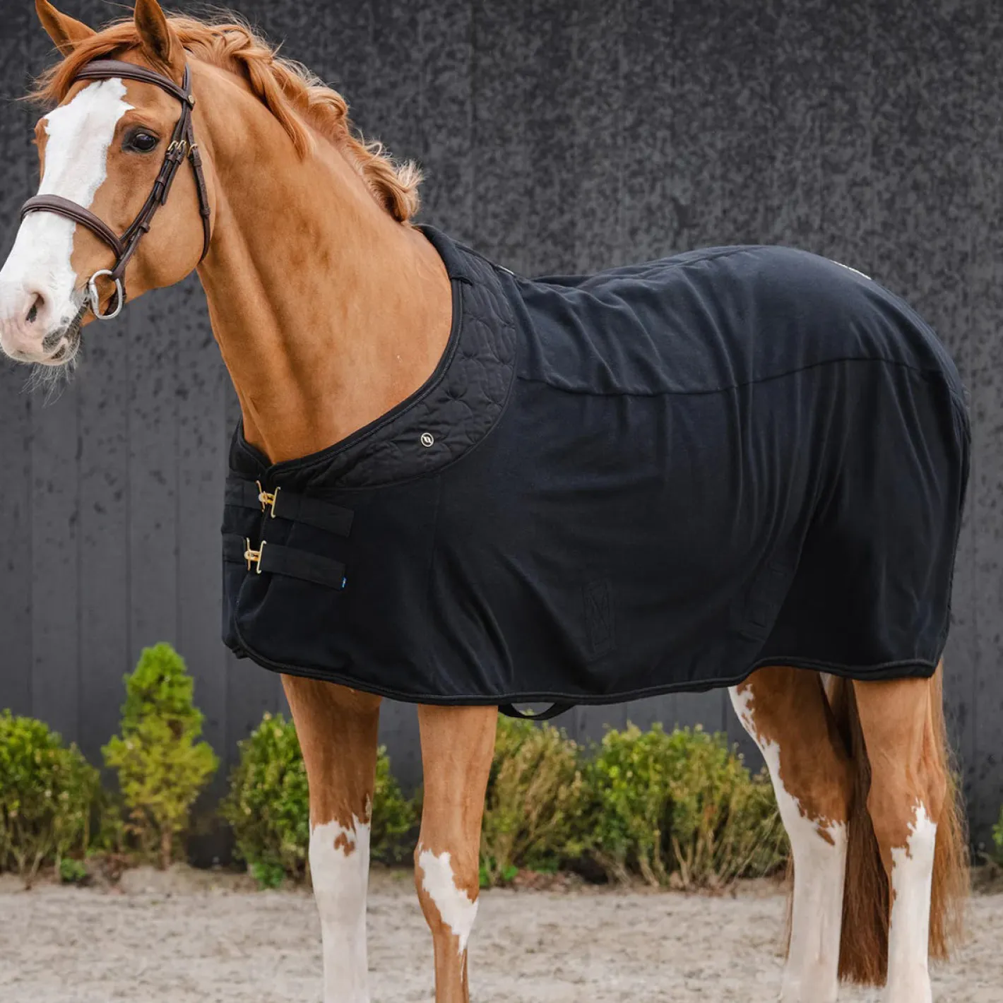 BACK ON TRACK BOT LL Back on Track® Deep Nights Fleece Cooler