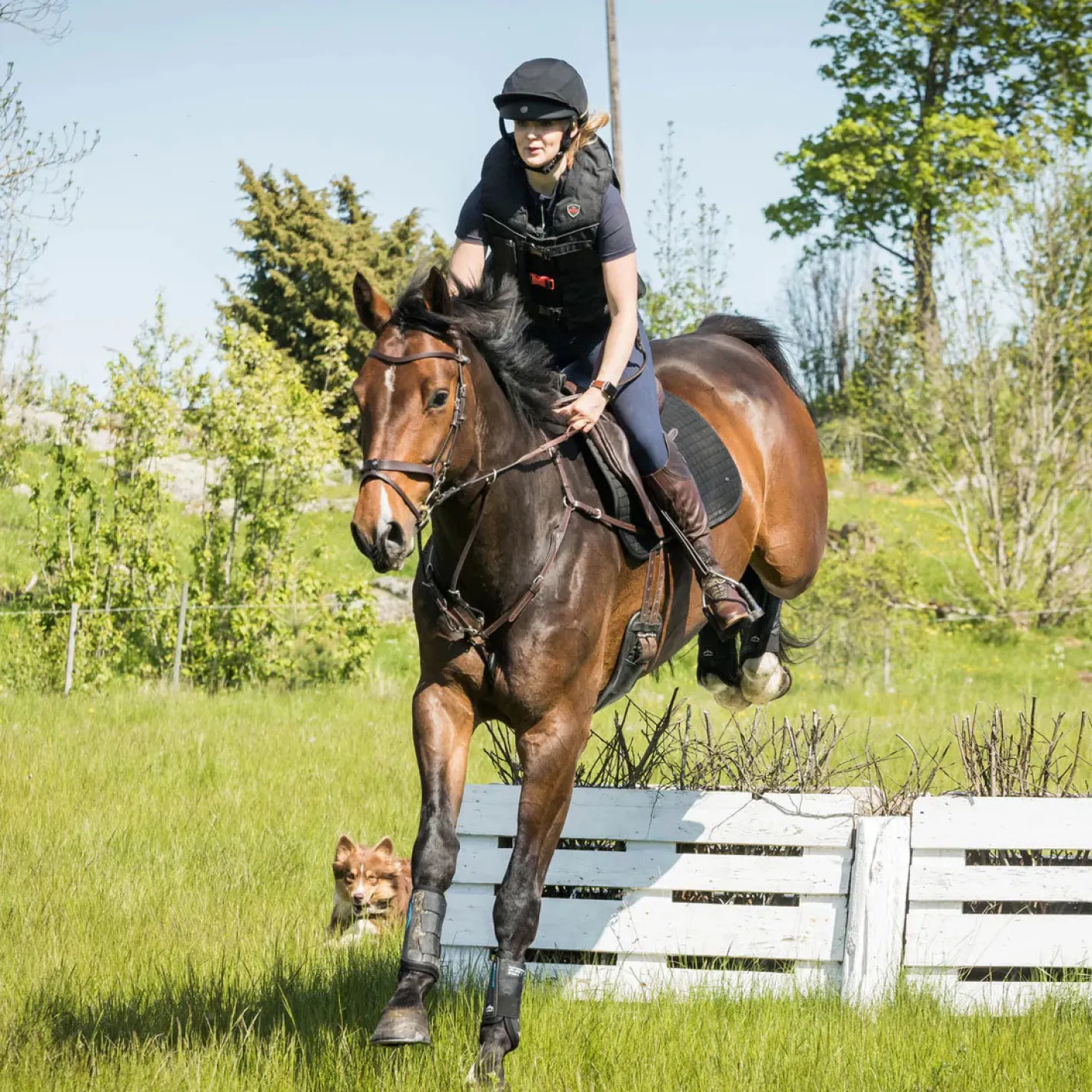 BACK ON TRACK BOT LL Back on Track® Deep Nights Brush Boots