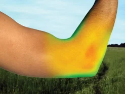 BACK ON TRACK BOT LL Back on Track® Elbow Brace