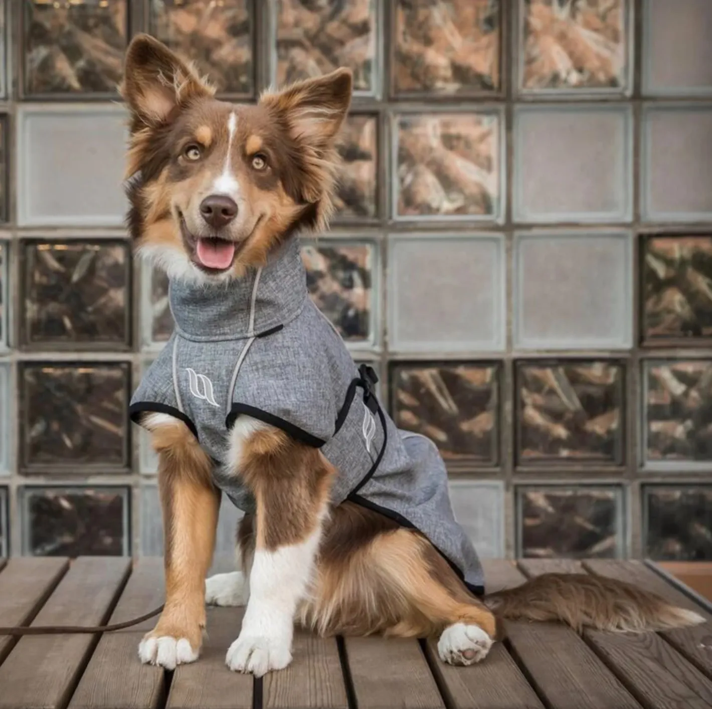 BACK ON TRACK BOT LL Back on Track® Nella Large Dog Coat