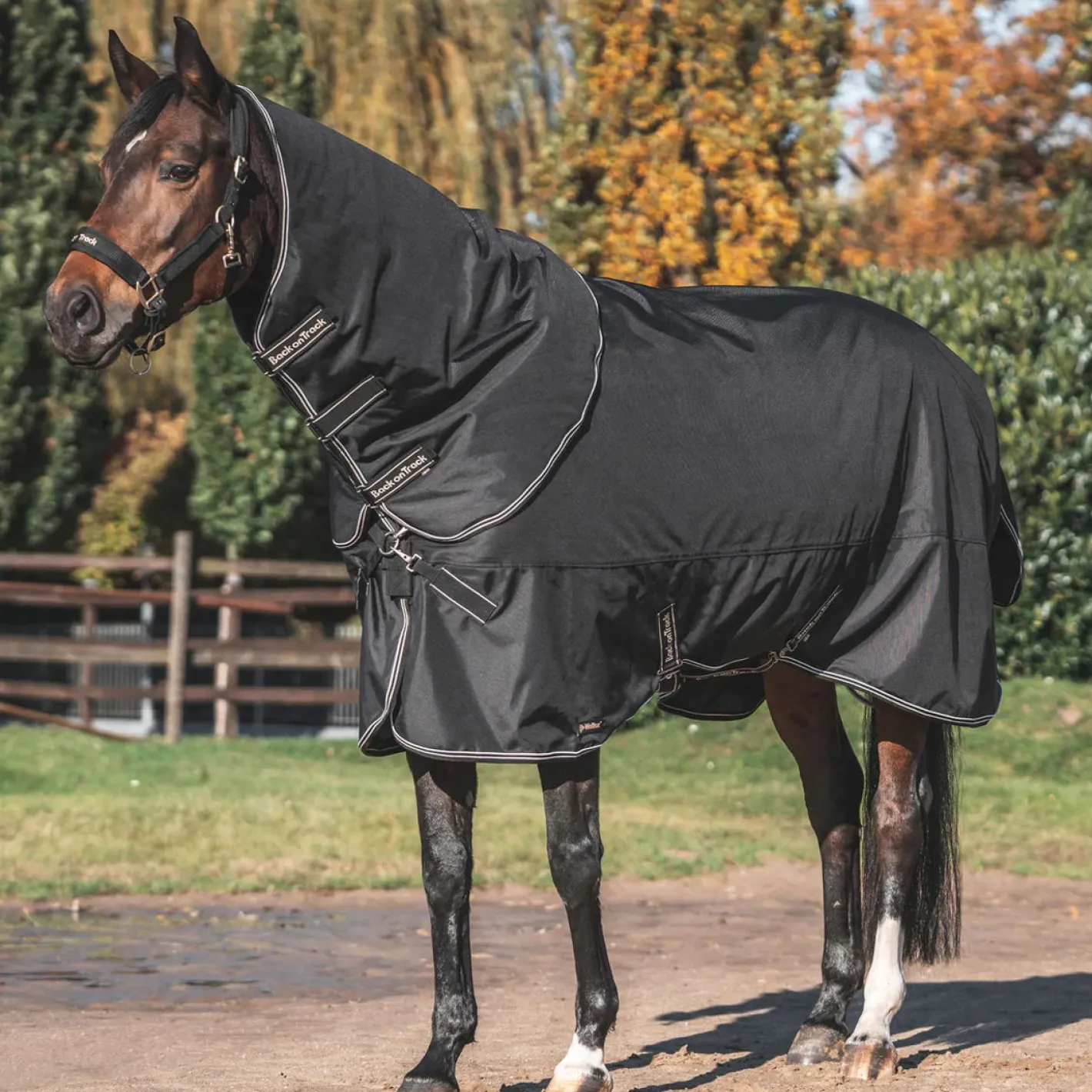 BACK ON TRACK BOT LL Back on Track® Obsidian 150G Turnout Blanket with Neck Cover