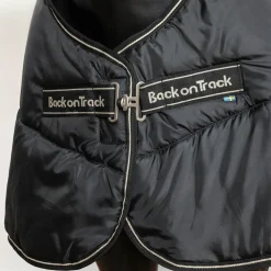 BACK ON TRACK BOT LL Back on Track® Rhyolite 100G Insulated Liner