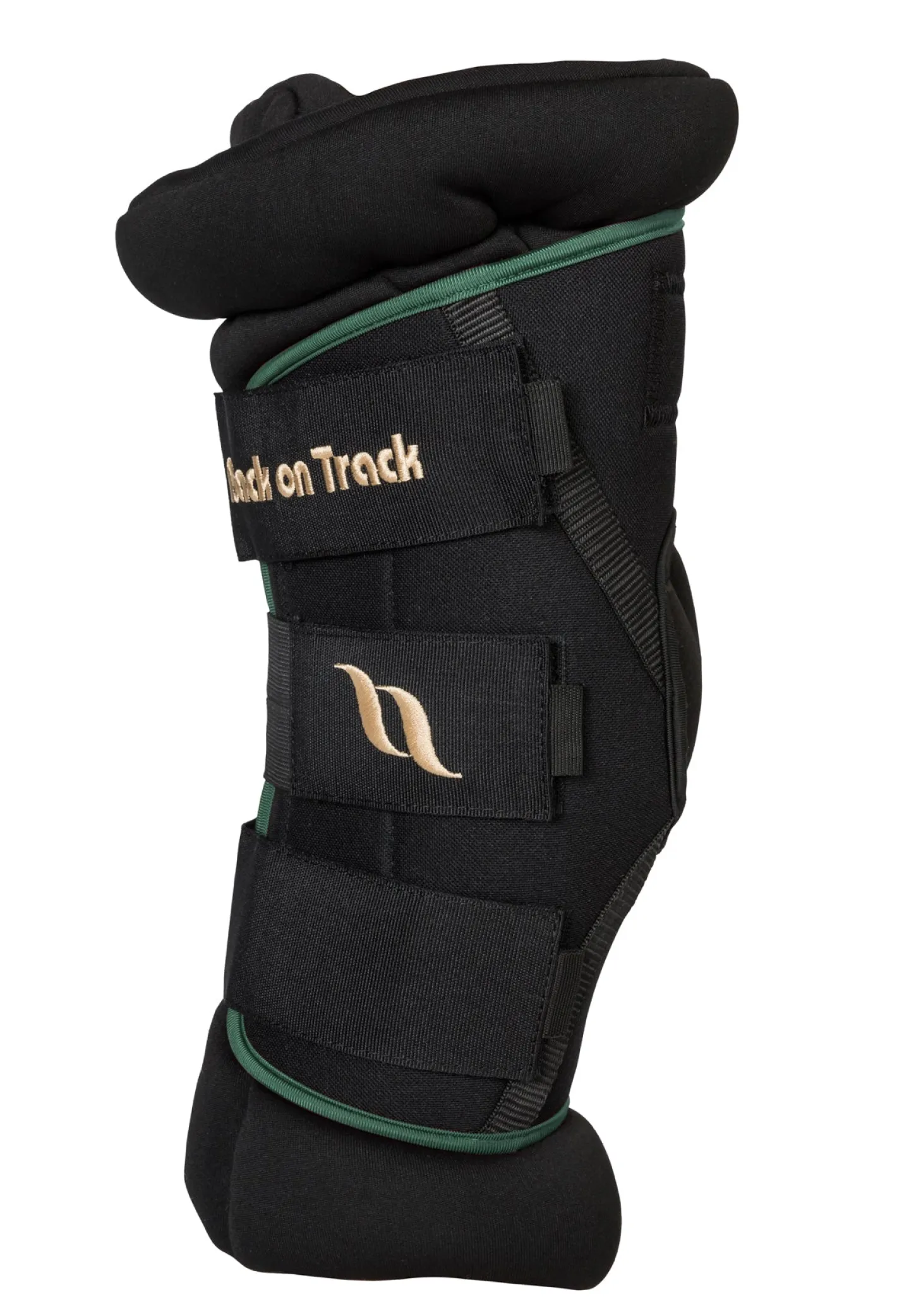 BACK ON TRACK BOT LL Back on Track® Royal Padded Hock Boots Deluxe
