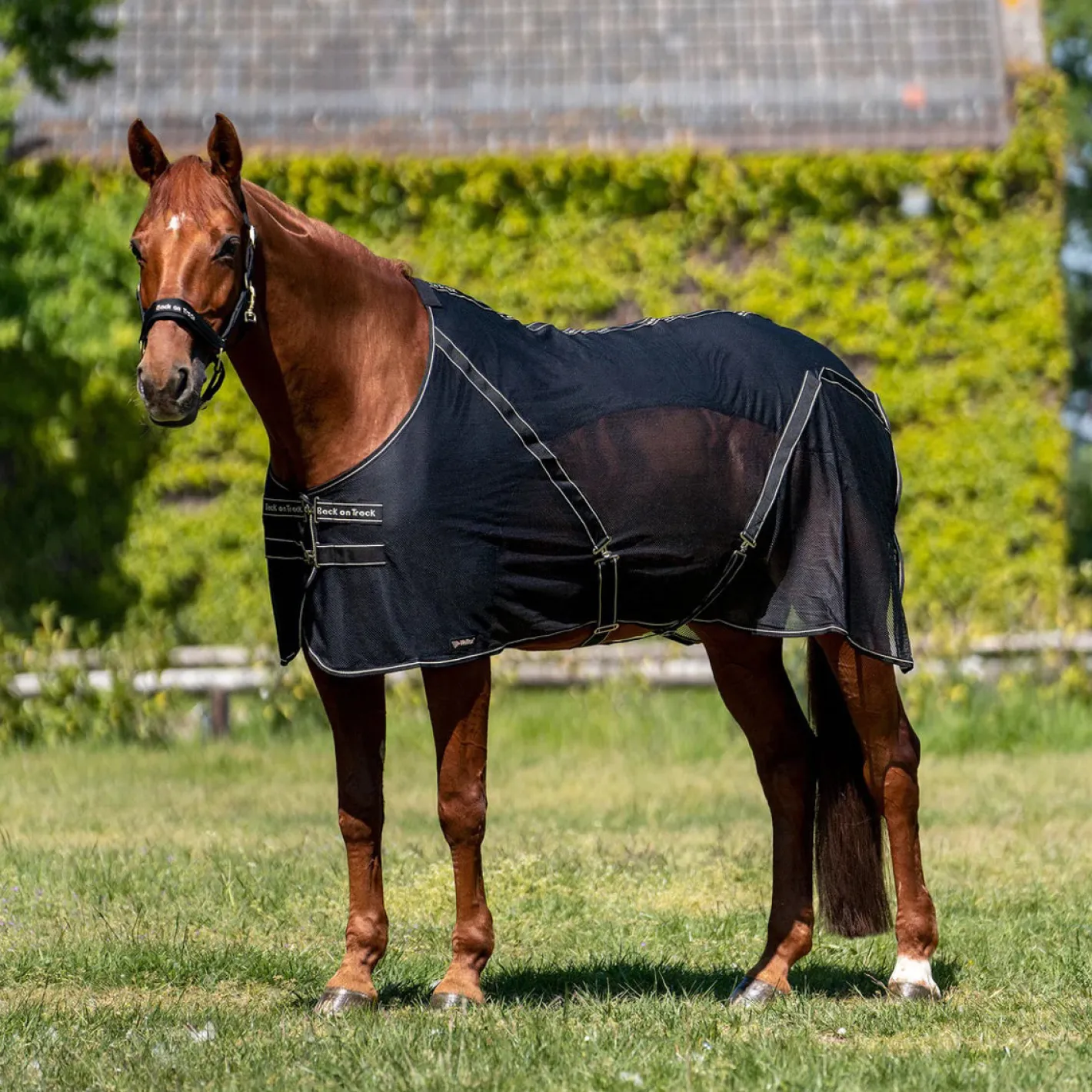 BACK ON TRACK BOT LL Back on Track® Sienna Mesh Cooler with Knitted Lining