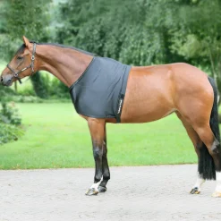 BACK ON TRACK BOT LL Back on Track® Therapeutic Equine Shoulder Guard with Pads