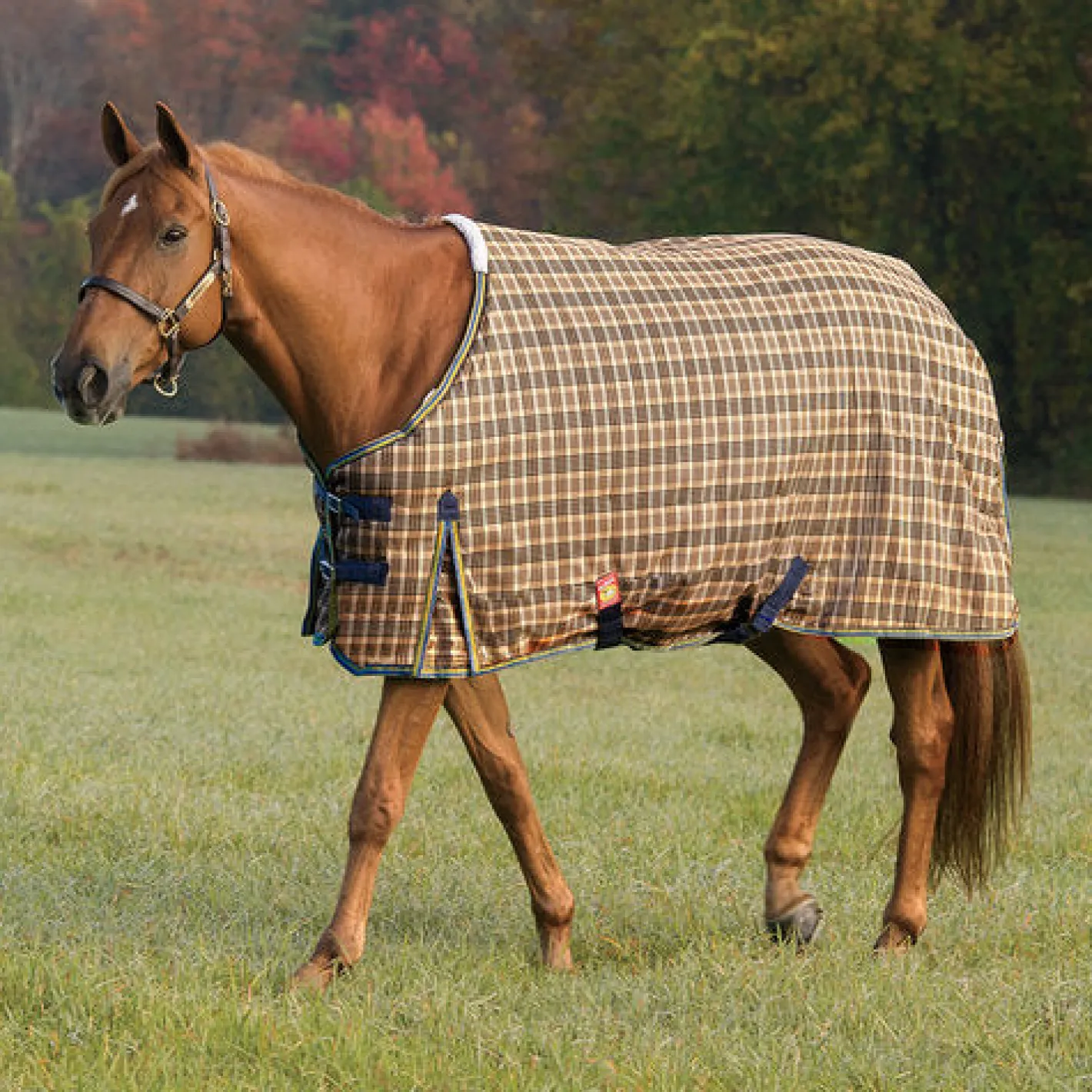 JACKS MFG Baker® Medium Weight Turnout Blanket