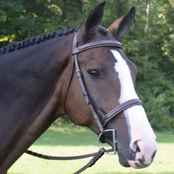 KL SELECT Black Oak Spruce Hunter Bridle