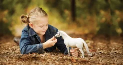 Kids REEVES INTERNATIONAL Breyer® Traditional® Snowman