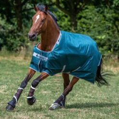 TOKLAT ORIGINALS Bucas Atlantic 50 Gram Turnout Blanket