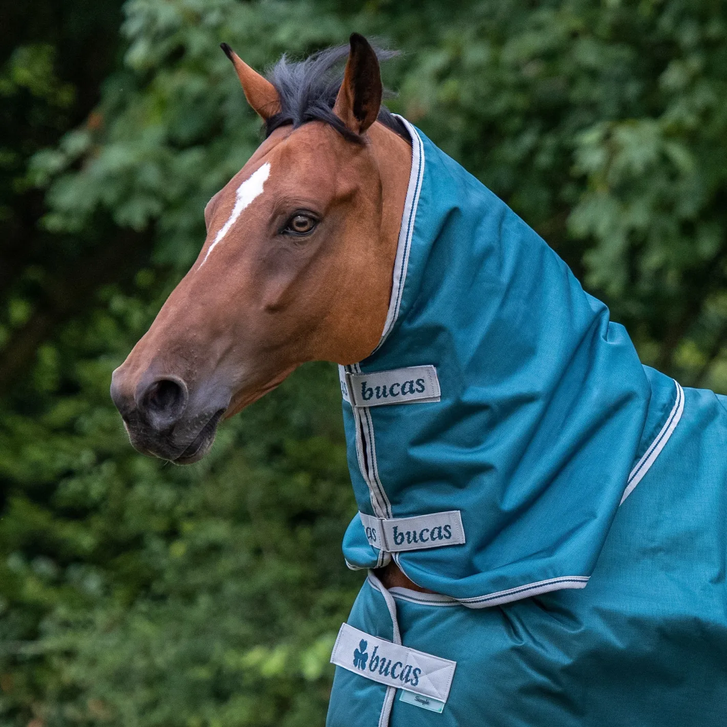TOKLAT ORIGINALS Bucas Atlantic 400 Gram Turnout Blanket