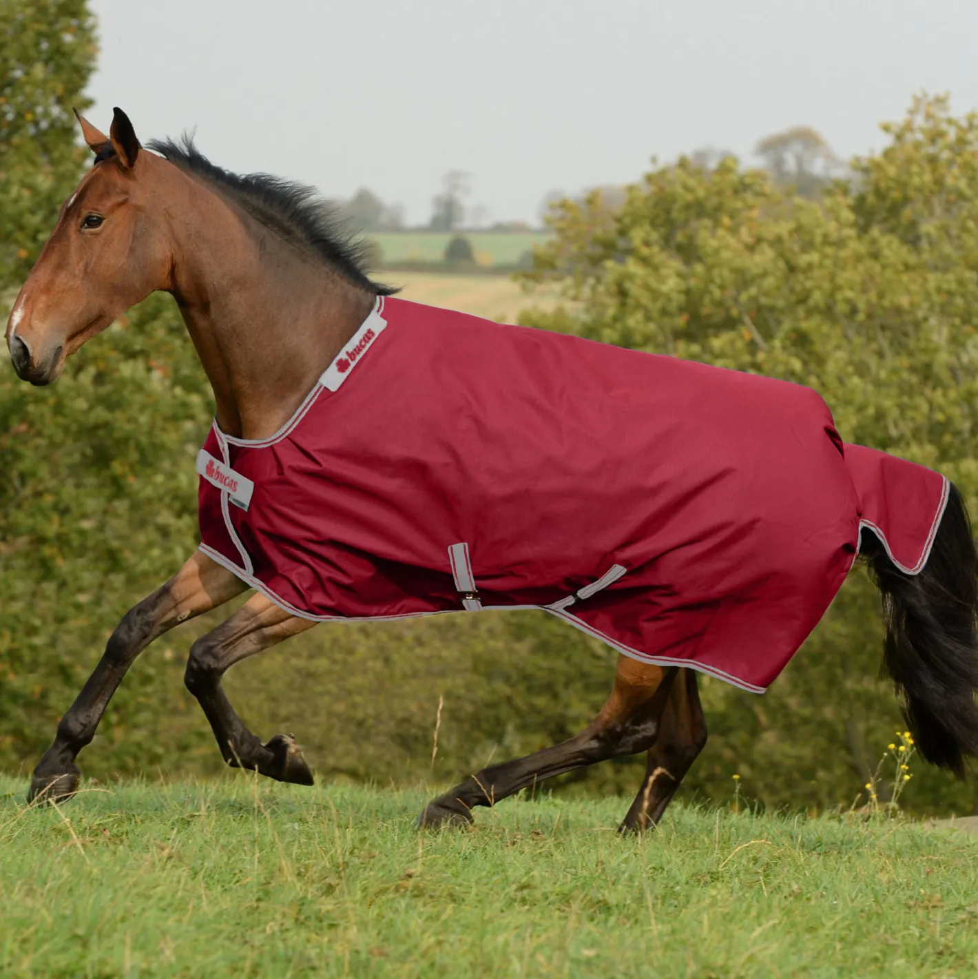 TOKLAT ORIGINALS Bucas Irish Classic Lightweight Turnout Blanket