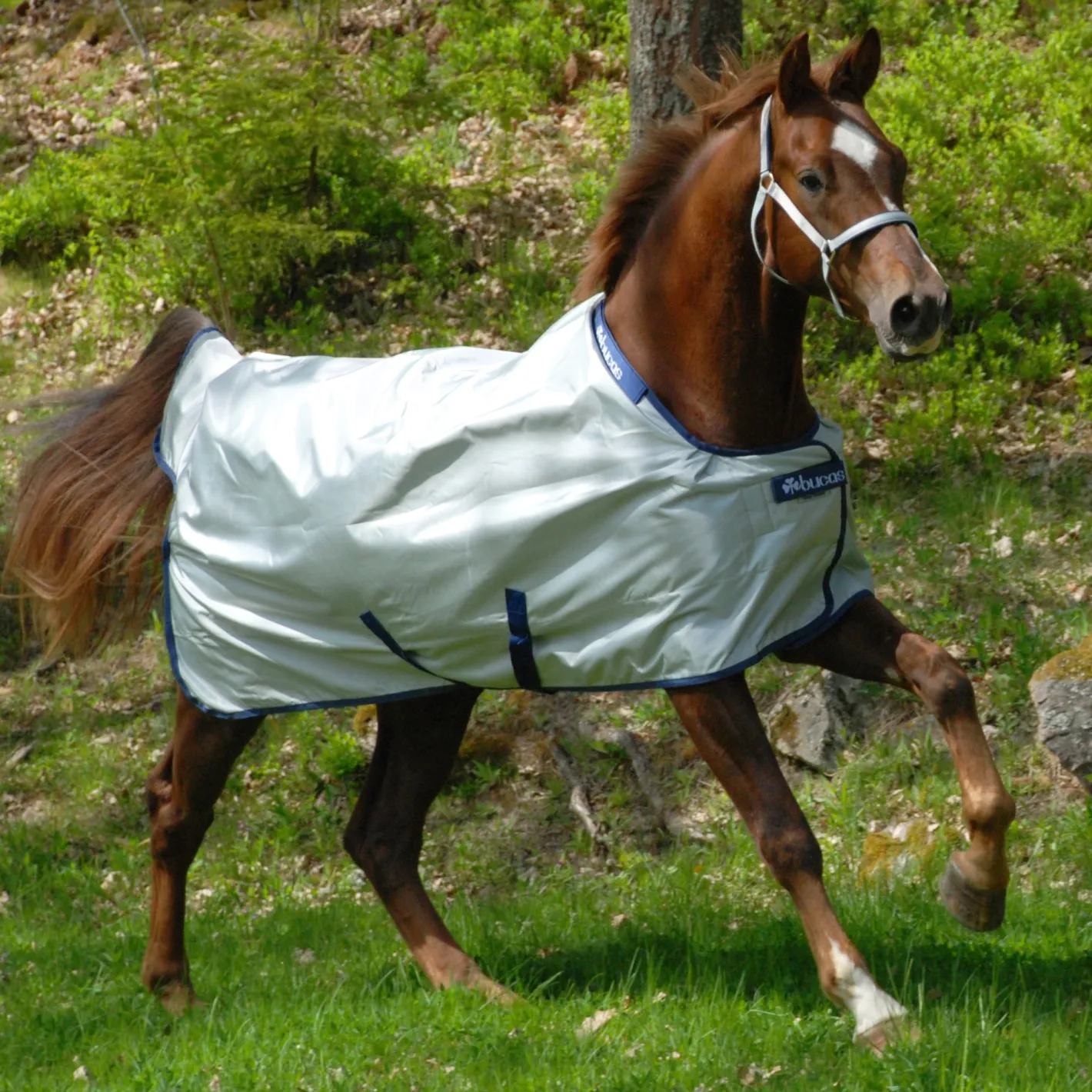 TOKLAT ORIGINALS Bucas Power Classic Lightweight Turnout Blanket