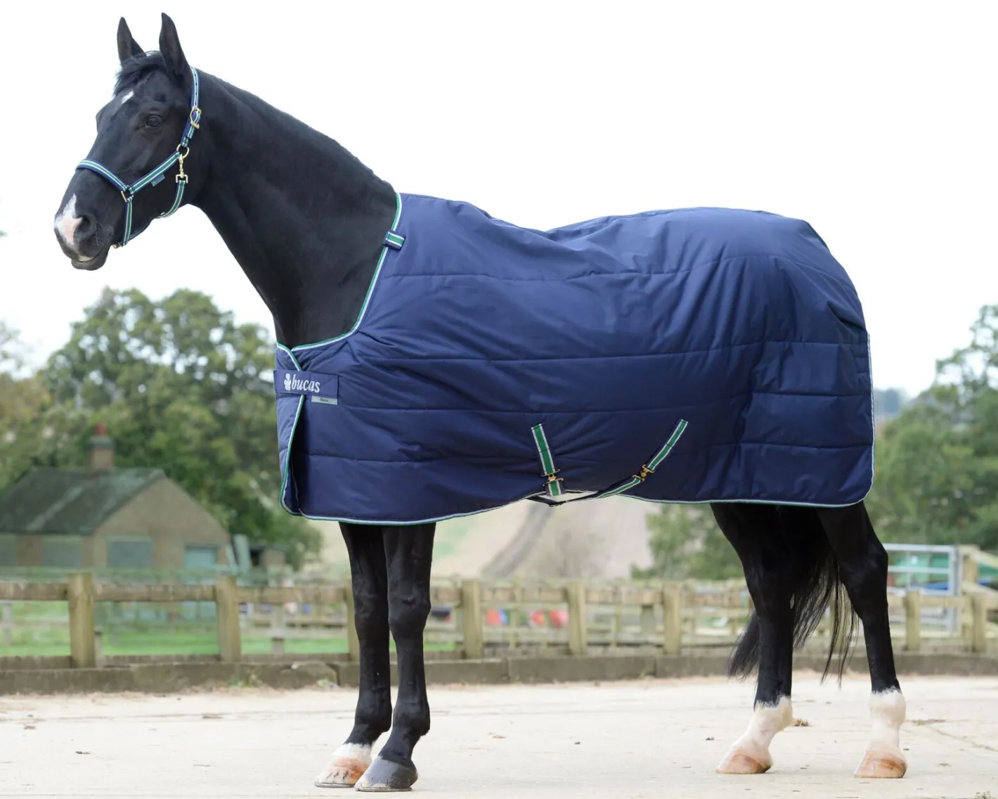 TOKLAT ORIGINALS Bucas Quilt Heavyweight Stable Blanket with Silky Lining - 300 grams
