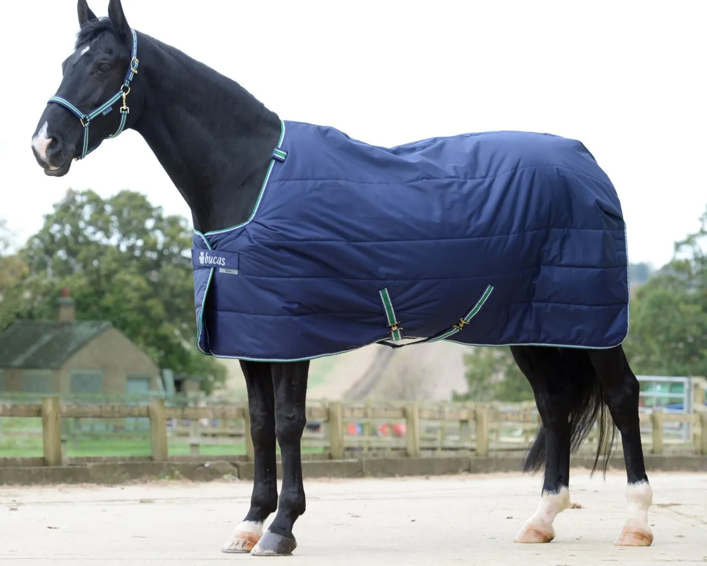 TOKLAT ORIGINALS Bucas Quilt Medium-Weight Stable Blanket with Stay Dry™ Lining - 150 grams