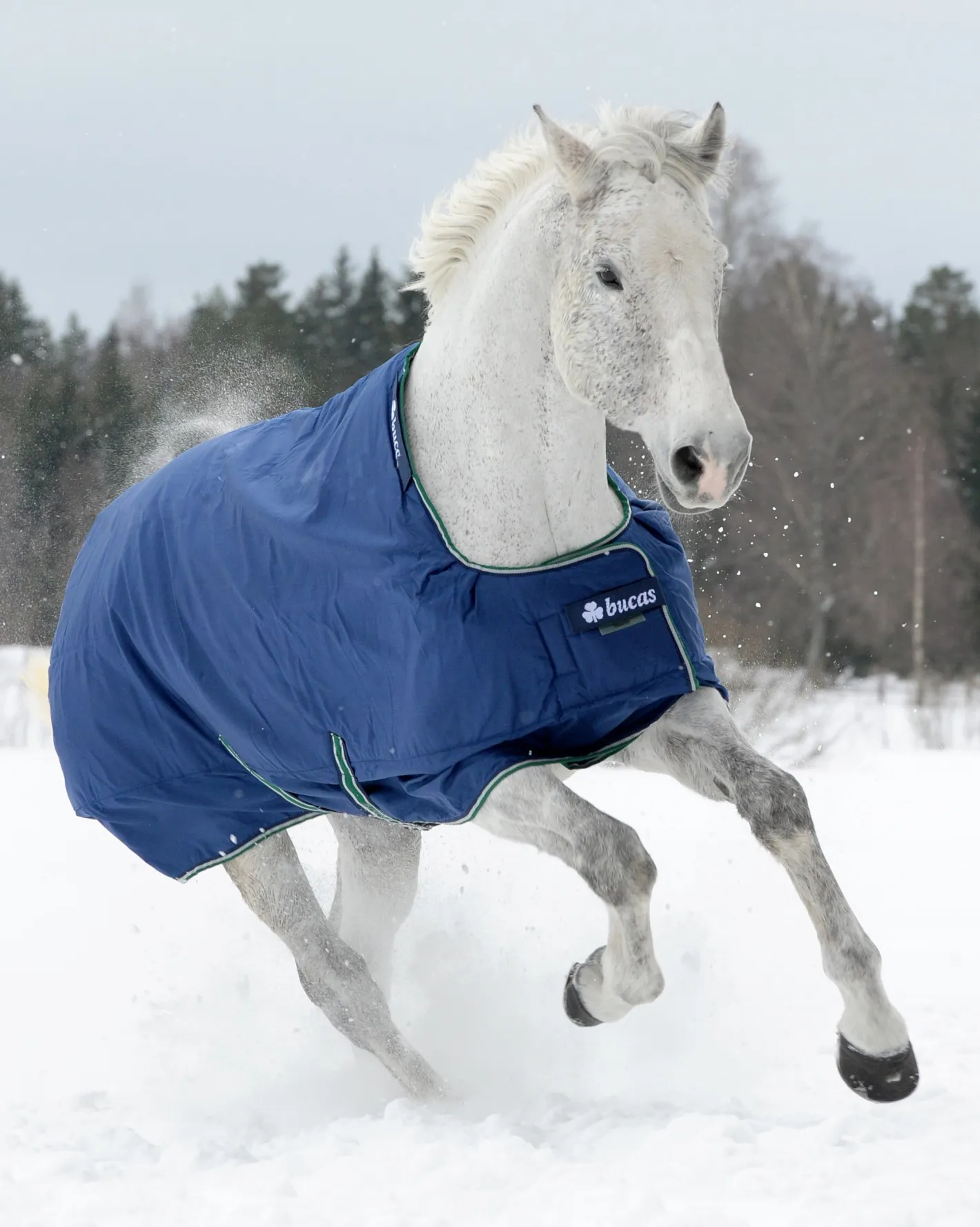 TOKLAT ORIGINALS Bucas Smartex Extra Turnout Blanket