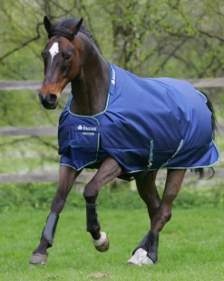 TOKLAT ORIGINALS Bucas Smartex Rain/Turnout Sheet