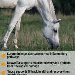 ANIMAL HEALTH INT Bute-Less® Performance Comfort & Recovery Pellets