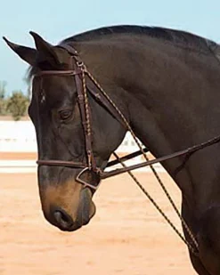 ERS Camelot™ Chambon