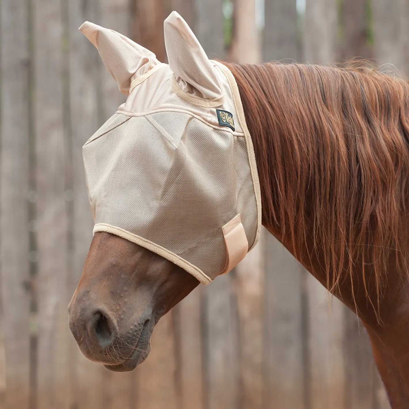 CASHEL COMPANY Cashel® Econo Fly Mask with Ears