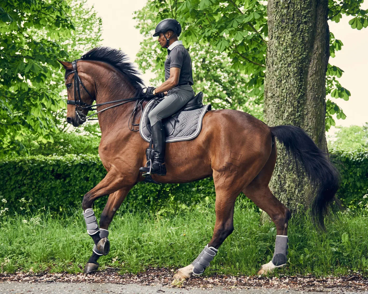 ERS Catago® Diamond Dressage Pad