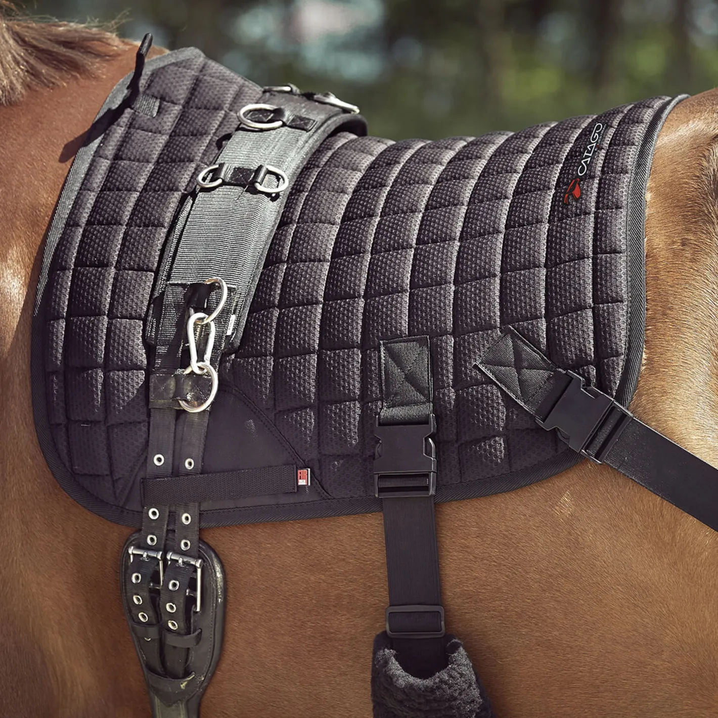 ERS Catago® FIR-Tech Training Saddle Pad