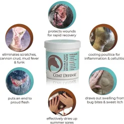 HORSEPOWDER INC Coat Defense® Trouble Spot Drying Paste