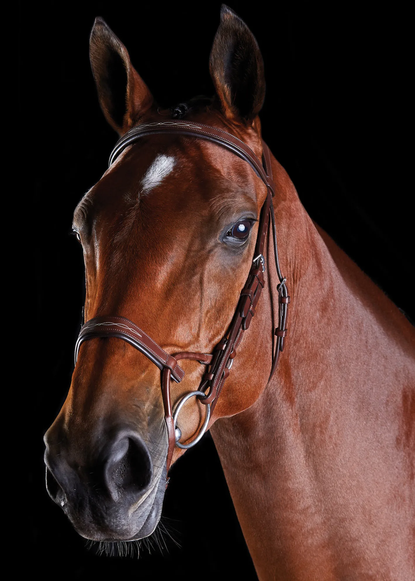 WEATHERBEETA Collegiate® ComFiTec™ Fancy-Stitched Bridle