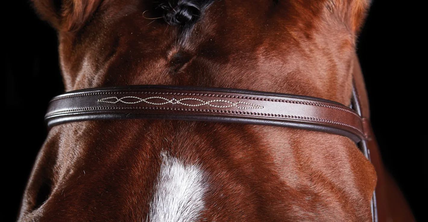 WEATHERBEETA Collegiate® ComFiTec™ Fancy-Stitched Bridle