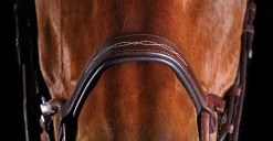 WEATHERBEETA Collegiate® ComFiTec™ Fancy-Stitched Bridle