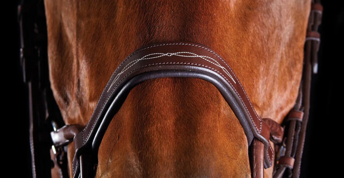 WEATHERBEETA Collegiate® ComFiTec™ Fancy-Stitched Bridle