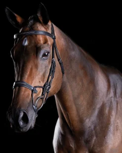 WEATHERBEETA Collegiate® ComFiTec™ Fancy-Stitched Bridle
