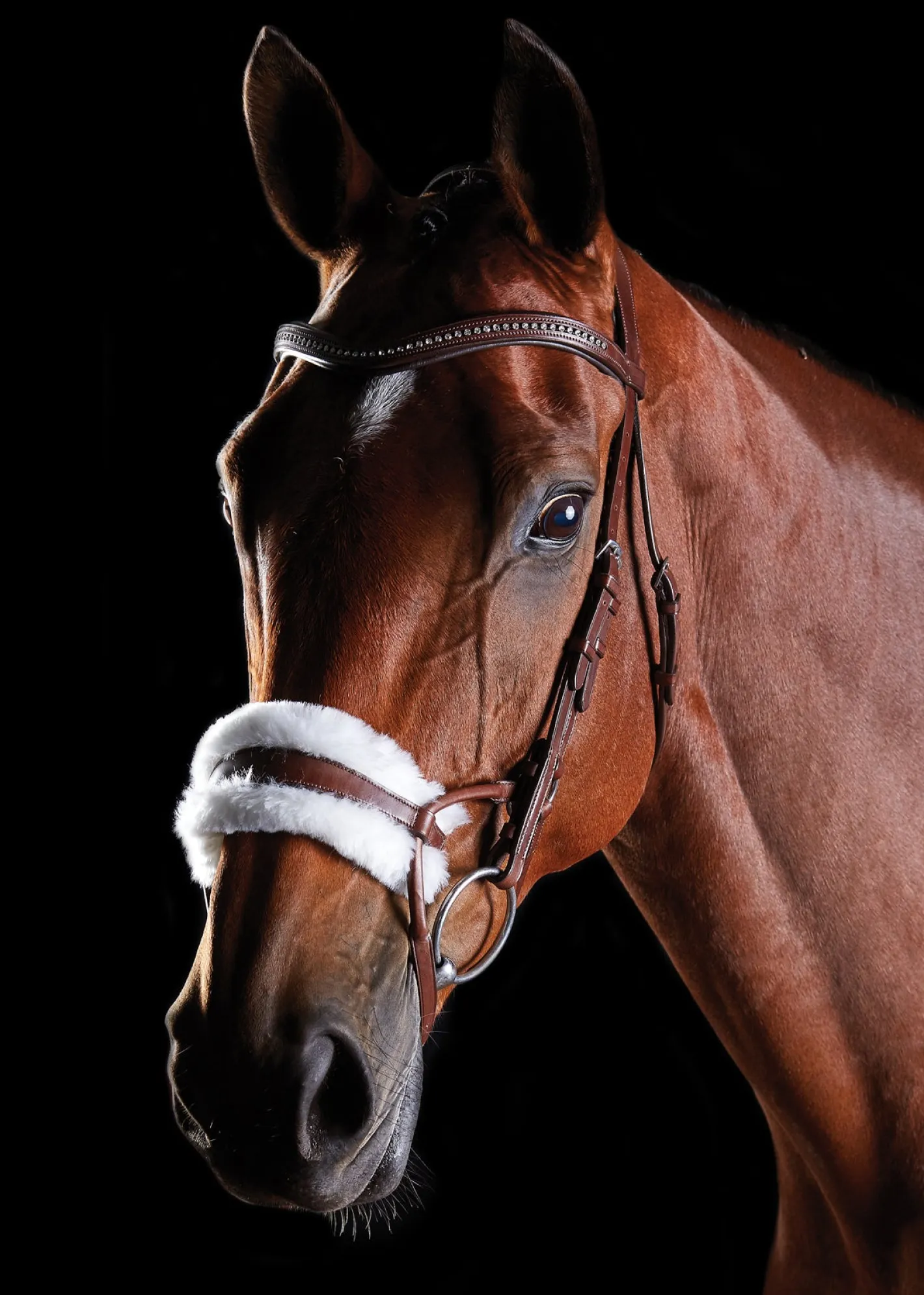 WEATHERBEETA Collegiate® ComFiTec™ Sheepskin Bridle