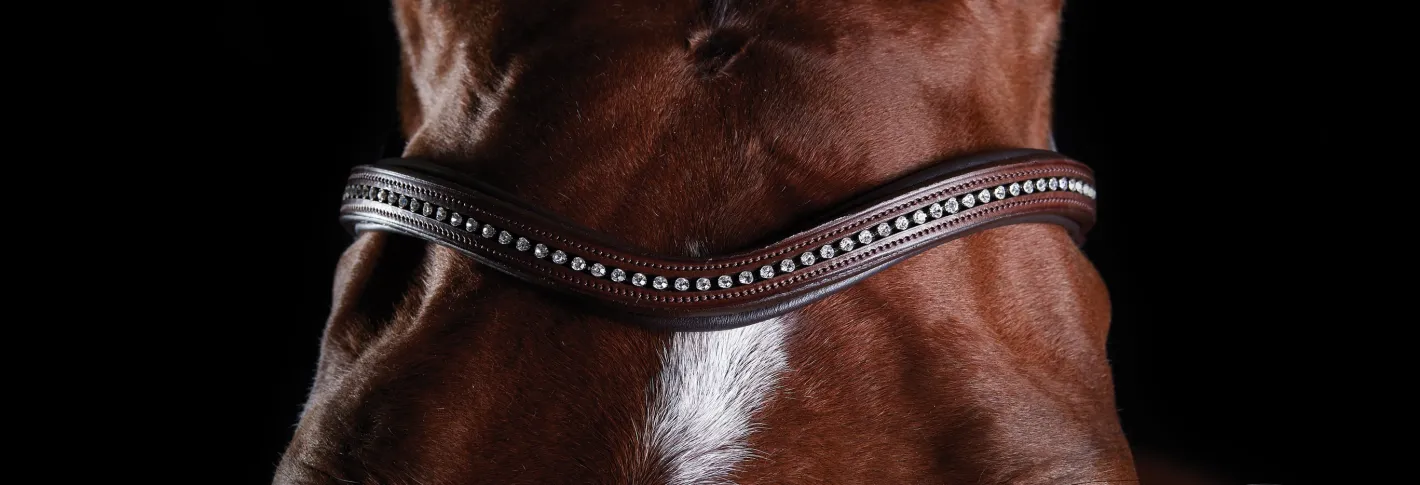 WEATHERBEETA Collegiate® ComFiTec™ Sheepskin Bridle
