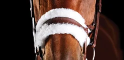 WEATHERBEETA Collegiate® ComFiTec™ Sheepskin Bridle