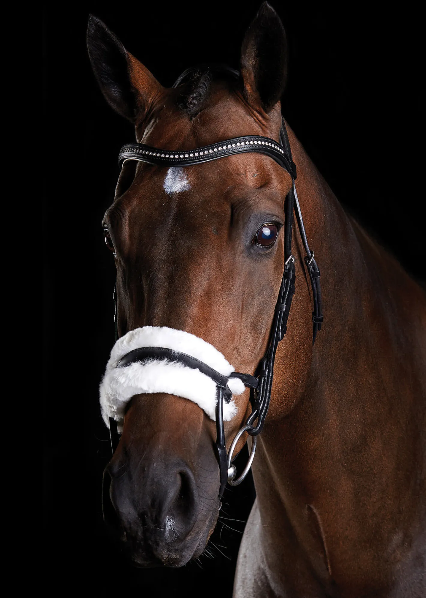 WEATHERBEETA Collegiate® ComFiTec™ Sheepskin Bridle